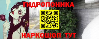 соль ск Лесосибирск